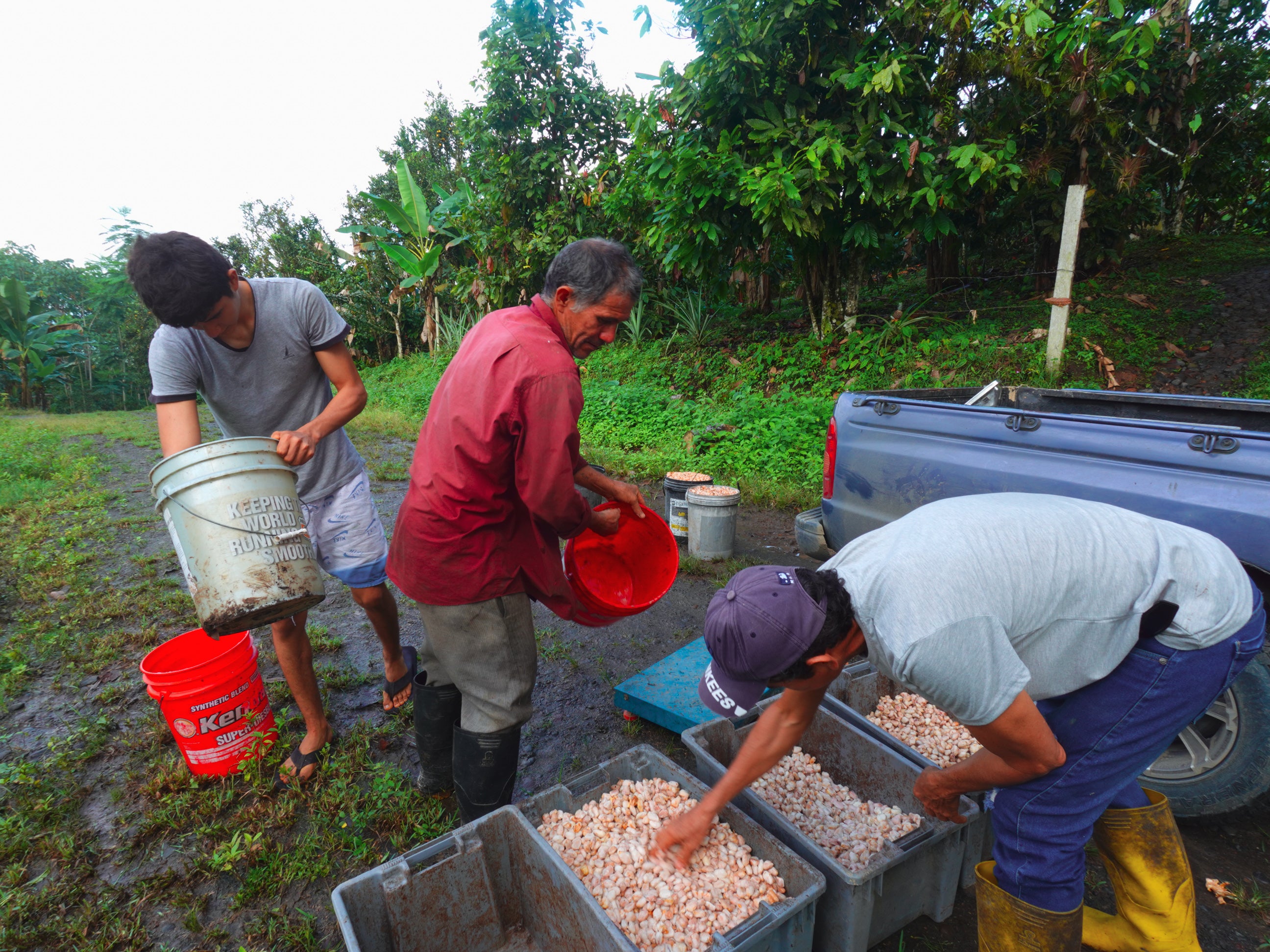 A Timeless Journey Through Ecuador and its History with Cacao